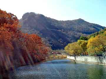 新澳天天开奖资料大全旅游团，有关雇佣兵的小说